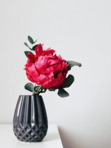 A photo of one fuschia peony flower in a textured dark gray vase on a light gray background